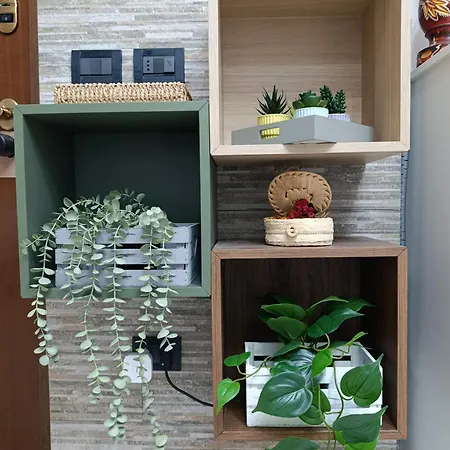 Palma's House Апартаменты Камбьаго